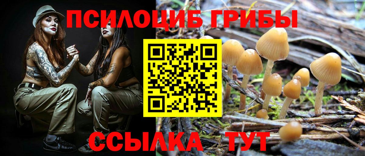 Рязань  Псилоцибиновые грибы мухоморы  купить  цена  Вход с VPN 