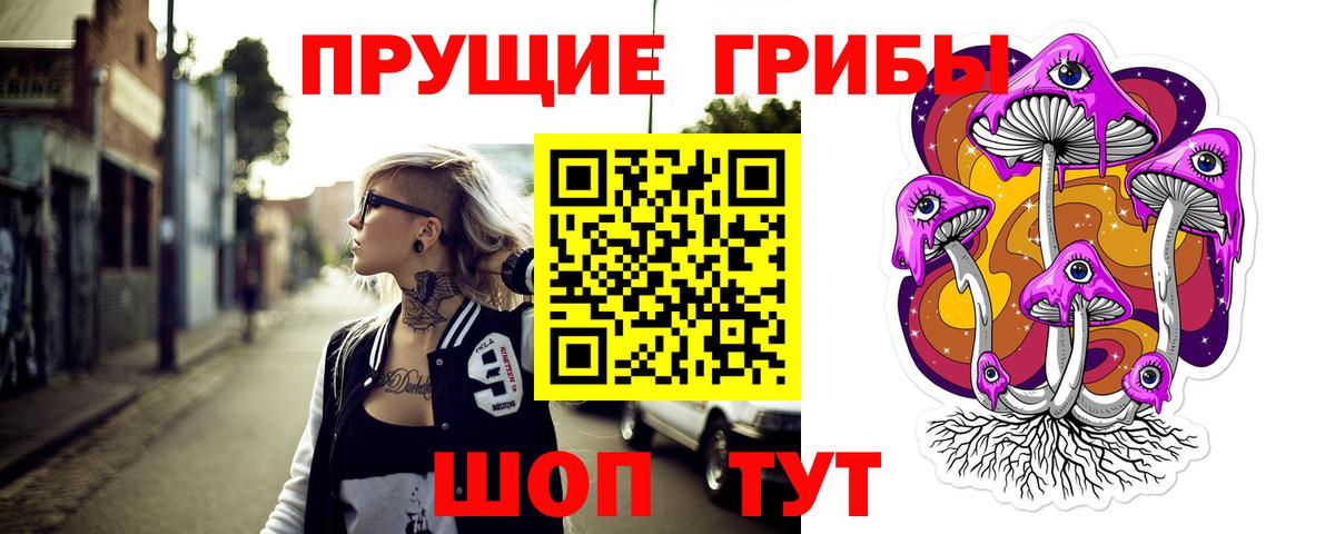 Псилоцибиновые грибы Cubensis Рязань